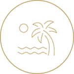 palm-150x150